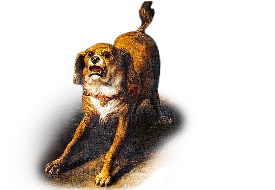 djur varslade dodsfall Hund som skäller